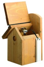 Budget Nest Box Camera